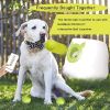 Outdoor Pet Tennis Ball for Small Dogs